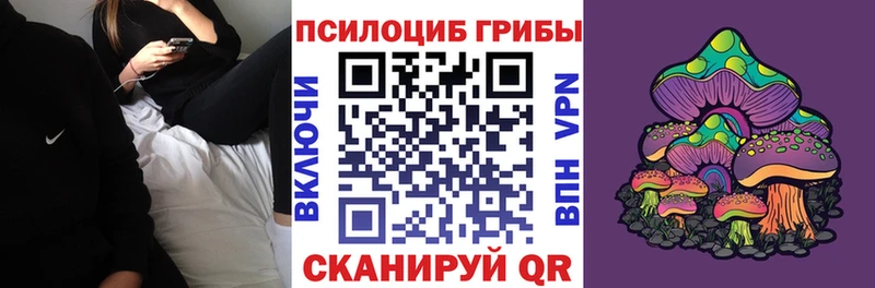 Псилоцибиновые грибы мицелий  цены наркотик  мега онион  Изобильный 